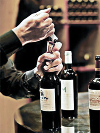 Css Template Preview